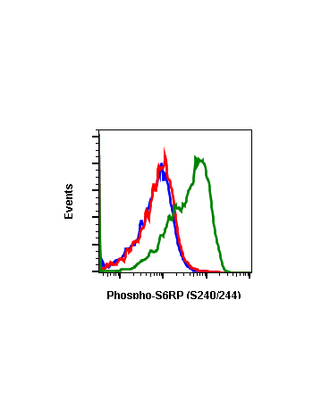 Phospho-S6-Ribosomal Protein (Ser240/244) (CD10) rabbit mAb