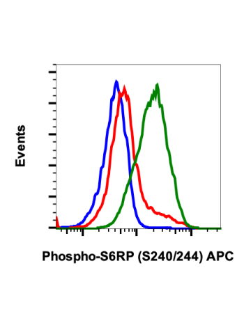 Phospho-S6-Ribosomal Protein (Ser240/244) (CD10) rabbit mAb APC Conjugate