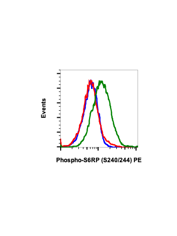 Phospho-S6-Ribosomal Protein (Ser240/244) (CD10) rabbit mAb PE Conjugate