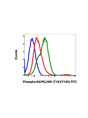 Phospho-SAPK/JNK (Thr183/Tyr185) (A11) rabbit mAb FITC conjugate