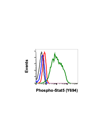 Phospho-Stat5 (Tyr694) (G11) rabbit mAb