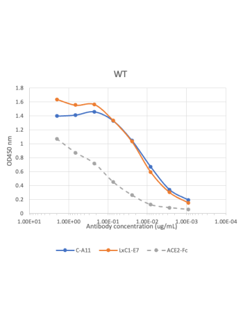 Spike protein trimers were coated at 2 µg/mL and incubated with serially diluted antibodies. The bound antibodies were detected with Peroxidase AffiniPure Goat Anti-Human IgG, Fcγ fragment specific (Jackson Immuno Research Catalog #109-035-098) or Peroxid