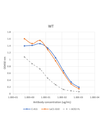 Spike protein trimers were coated at 2 µg/mL and incubated with serially diluted antibodies. The bound antibodies were detected with Peroxidase AffiniPure Goat Anti-Human IgG, Fcγ fragment specific (Jackson Immuno Research catalog#109-035-098) or Peroxida