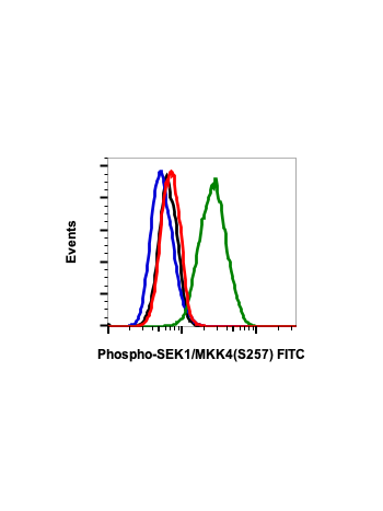 Phospho-SEK1/MKK4 (Ser257) (C5) rabbit mAb FITC Conjugate