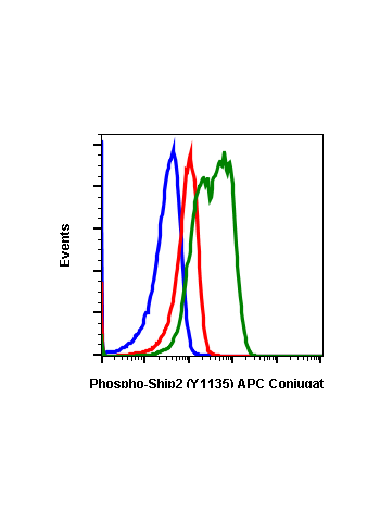 Phospho-Ship2 (Tyr1135) (1D2) rabbit mAb APC conjugate