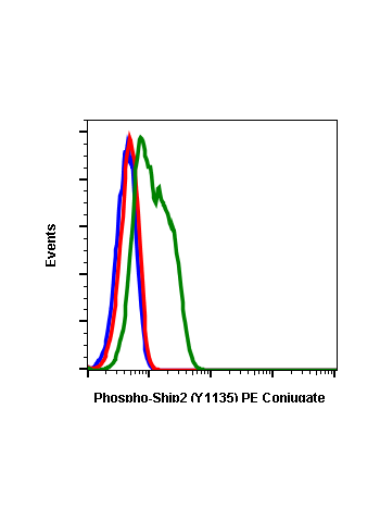 Phospho-Ship2 (Tyr1135) (1D2) rabbit mAb PE conjugate