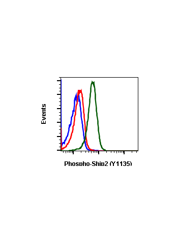 Phospho-Ship2 (Tyr1135) (1D2) rabbit mAb SureLight®488 conjugate