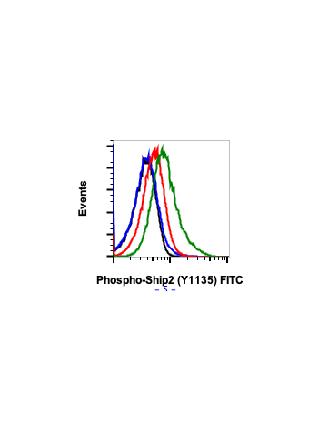 Phospho-Ship2 (Tyr1135) (1D2) rabbit mAb FITC conjugate