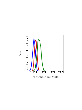 Phospho-Shp2 (Tyr580) (4A2) rabbit mAb FITC conjugate