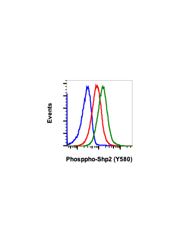 Phospho-Shp2 (Tyr580) (4A2) rabbit mAb APC conjugate