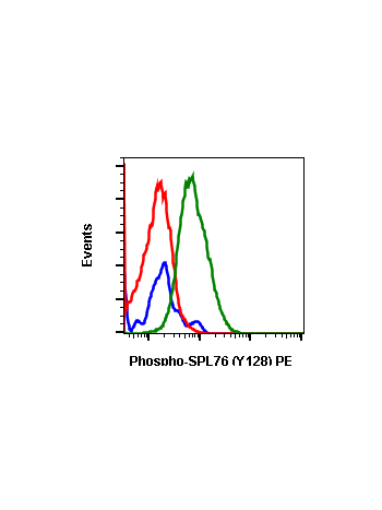 Phospho-SLP-76 (Tyr128) (3F8) rabbit mAb PE conjugate