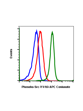 Phospho-Src (Tyr416) (C4) rabbit mAb APC conjugate