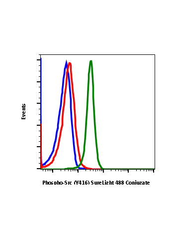 Phospho-Src (Tyr416) (C4) rabbit mAb SureLight®488 conjugate