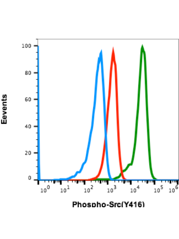 Phospho-Src (Tyr416) (C4) rabbit mAb