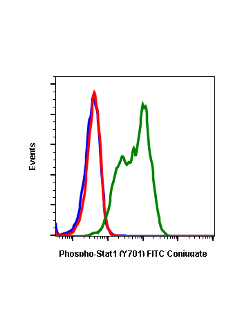 Phospho-Stat1 (Tyr701) (3E6) rabbit mAb FITC conjugate