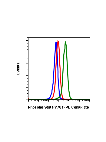 Phospho-Stat1 (Tyr701) (3E6) rabbit mAb PE conjugate