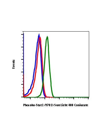 Phospho-Stat1 (Tyr701) (3E6)rabbit mAb SureLight®488 conjugate