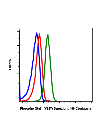 Phospho-Stat1 (Ser727) (C6) rabbit mAb SureLight®488 conjugate