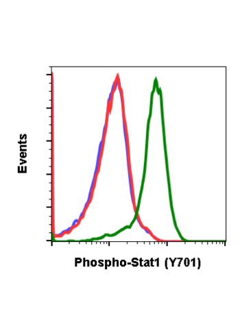 Phospho-Stat1 (Tyr701) (3E6) rabbit mAb