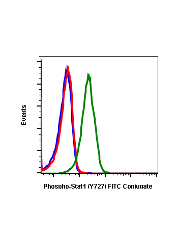 Phospho-Stat1 (Ser727) (C6) rabbit mAb FITC conjugate