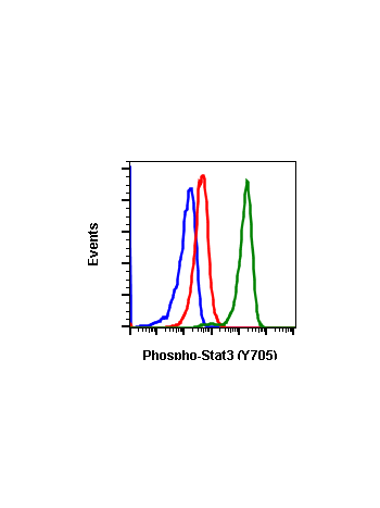 Phospho-Stat3 (Tyr705) (B12) rabbit mAb APC conjugate