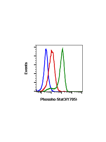 Phospho-Stat3 (Tyr705) (B12) rabbit mAb FITC conjugate