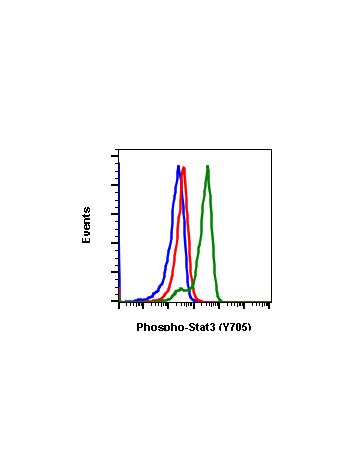 Flow cytometric analysis of Jurkat cells secondary antibody only negative control (blue) or untreated (red) or treated with IFNa IL4 and pervanadate (green) using Phospho-Stat3 (Tyr705) antibody Stat3Y705 B12-PE Cat. #1122.