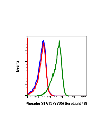 Phospho-Stat3 (Tyr705) (B12) rabbit mAb SureLight®488 conjugate