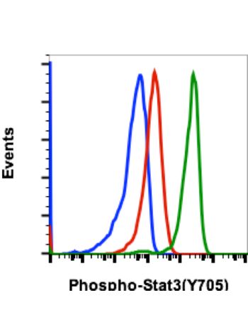 Flow cytometric analysis of Jurkat cells secondary antibody only negative control (blue) or untreated (red) or treated with IFNα IL-4 and pervanadate (green) using Phospho-Stat3 (Tyr705) antibody Stat3Y705-B12 (5 ng/mL). Cat. #1121.