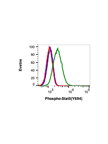 Phospho-Stat5 (Tyr694) (B5) rabbit mAb
