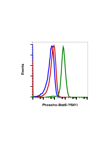 Phospho-Stat6 (Tyr641) (G12) rabbit mAb