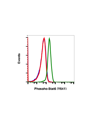 Phospho-Stat6 (Tyr641) (G12) rabbit mAb FITC conjugate