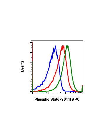 Flow cytometric analysis of U937 cells unstained cells negative control (blue) or stained and untreated (red) or treated with IFNa and IL-4 (green) using 0.5 µg/mL Phospho-Stat6 (Tyr641)-FITC antibody Stat6Y641-G12-FITC. Cat. #1148.