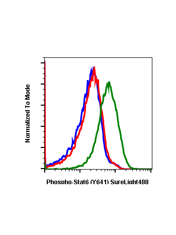 Phospho-Stat6 (Tyr641) (G12) rabbit mAb SureLight 488 conjugate