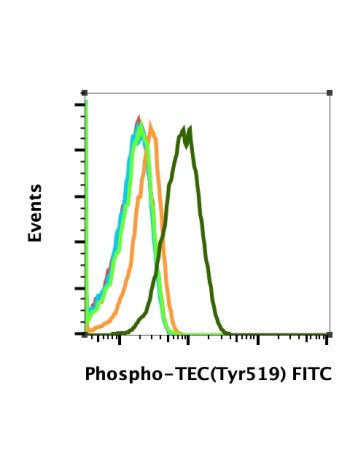 Flow Cytometric analysis of Ramos cells untreated (orange) or treated with EGF (dark green) using Phospho-TEC (Tyr519) (1BR5-A3) Rabbit mAb (FITC conjugate) TECY519#2816, or concentration-matched rabbit (G9)  mAb IgG isotype Control (FITC conjugate) #2143