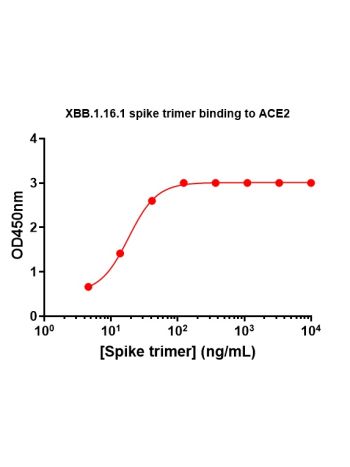 Concentration–response curves for binding of CoV2 spike protein to human ACE2 in cell-free ELISA-type assays. Microtiter wells were coated with 100 uL of ACE2-Fc at 2 ug/mL in PBS at 4˚C overnight. The wells were washed with PBS and blocked with 200 µL of