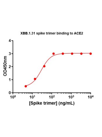 Concentration–response curves for binding of CoV2 spike protein to human ACE2 in cell-free ELISA-type assays. Microtiter wells were coated with 100 uL of ACE2-Fc at 2 ug/mL in PBS at 4˚C overnight. The wells were washed with PBS and blocked with 200 µL of