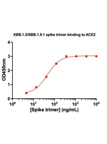 Concentration–response curves for binding of CoV2 spike protein to human ACE2 in cell-free ELISA-type assays. Microtiter wells were coated with 100 uL of ACE2-Fc at 2 ug/mL in PBS at 4˚C overnight. The wells were washed with PBS and blocked with 200 µL of