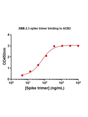 Concentration–response curves for binding of CoV2 spike protein to human ACE2 in cell-free ELISA-type assays. Microtiter wells were coated with 100 uL of ACE2-Fc at 2 ug/mL in PBS at 4˚C overnight. The wells were washed with PBS and blocked with 200 µL of