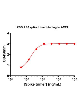 Concentration–response curves for binding of CoV2 spike protein to human ACE2 in cell-free ELISA-type assays. Microtiter wells were coated with 100 uL of ACE2-Fc at 2 ug/mL in PBS at 4˚C overnight. The wells were washed with PBS and blocked with 200 µL of