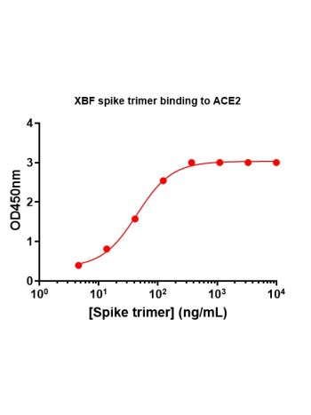 Concentration–response curves for binding of CoV2 spike protein to human ACE2 in cell-free ELISA-type assays. Microtiter wells were coated with 100 uL of ACE2-Fc at 2 ug/mL in PBS at 4˚C overnight. The wells were washed with PBS and blocked with 200 µL of