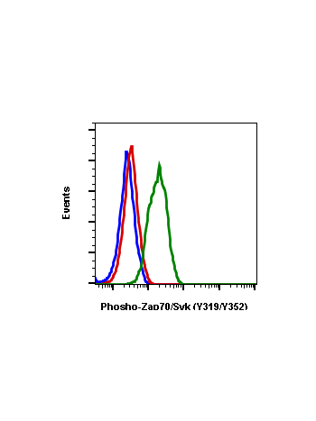 Phospho-Zap70 (Tyr319)/Syk (Tyr352) (A3) rabbit mAb SureLight 488 conjugate