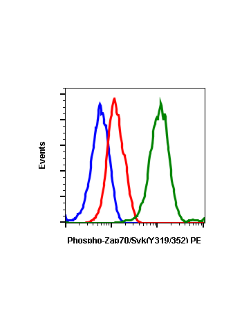 Phospho-Zap70 (Tyr319)/Syk (Tyr352) (A3) rabbit mAb PE conjugate