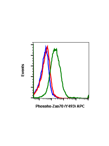 Phospho-Zap70 (Tyr493)/Syk (Tyr526) (H11) rabbit mAb APC conjugate