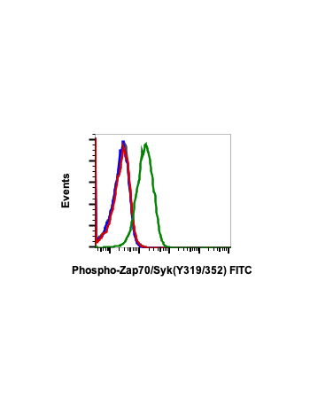 Phospho-Zap70 (Tyr319)/Syk (Tyr352) (A3) rabbit mAb FITC conjugate