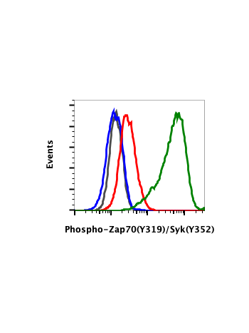 Phospho-Zap70 (Tyr319)/Syk (Tyr352) (A3) rabbit mAb