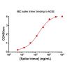   Concentration–response curves for binding of CoV2 spike protein to human ACE2 in cell-free ELISA-type assays. Microtiter wells were coated with 100 uL of ACE2-Fc at 2 ug/mL in PBS at 4˚C overnight. The wells were washed with PBS and blocked with 200 µL 