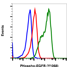 Cell Culture Products