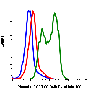 Cell Culture Products
