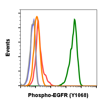 Cell Culture Products
